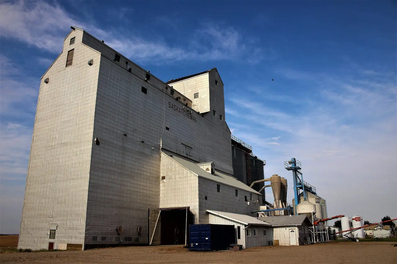 The grain elevator, 2015